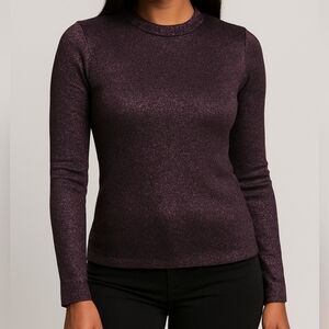 Alexander Wang Metallic Plum Shimmer Knit Sweater Size Small NWOT